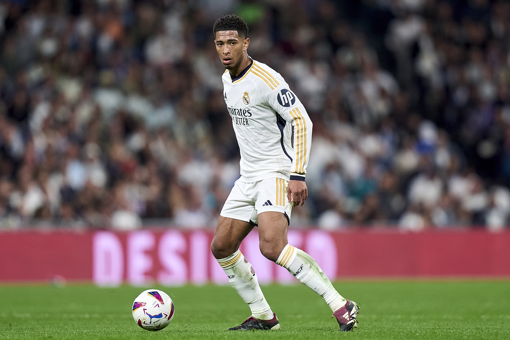 冠军奖金 冠军奖金